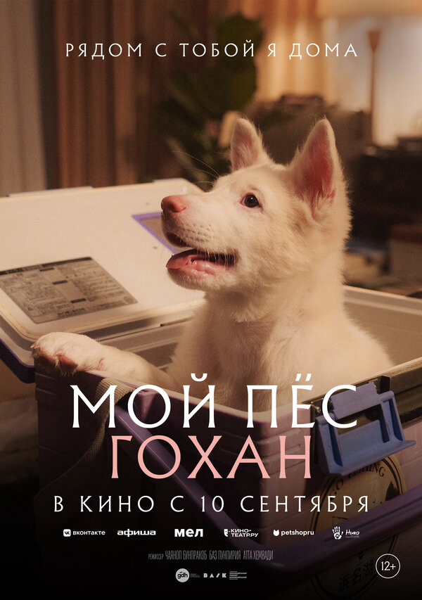 Мой пёс Гохан постер